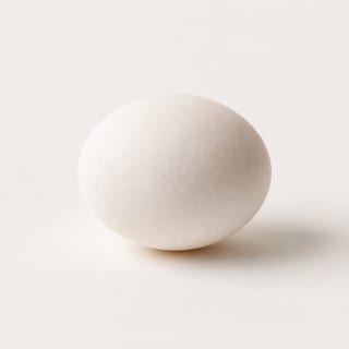 Organic Egg